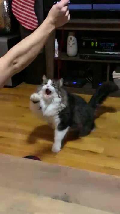 So ferocious
