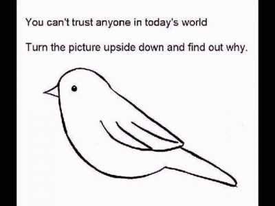 You cant trust me