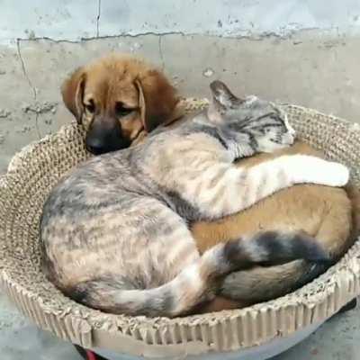 Yup, I’ll fit