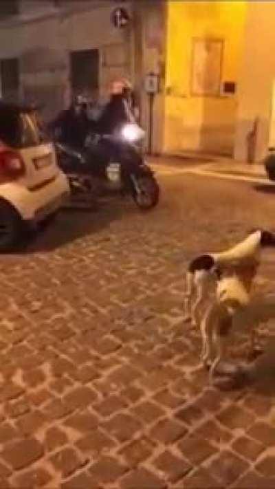 You shall not pass!