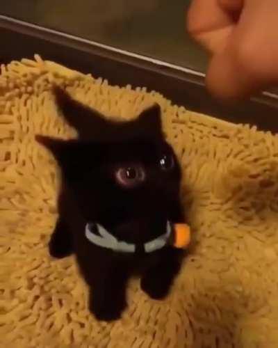 But those eyes!