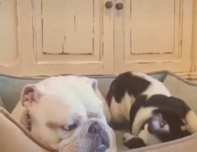 "You better stop!"