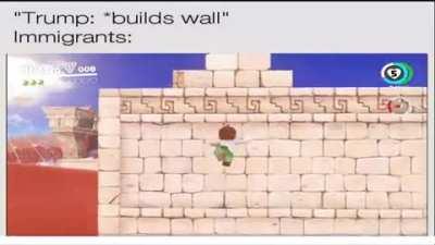Mario politics