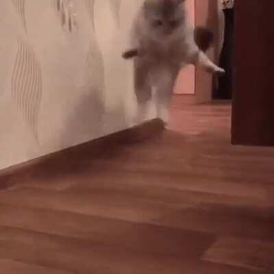 ??? Self- inflicted attack!