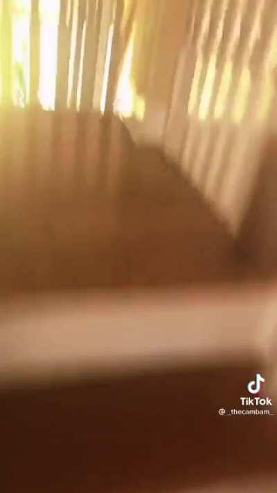 She is guilty you can here it in her voice