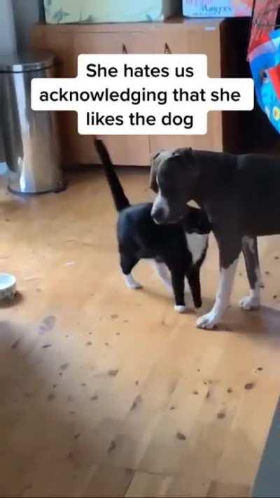"you came home earlier"