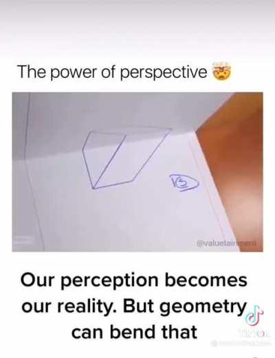Perspective