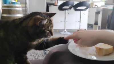 No touchy!