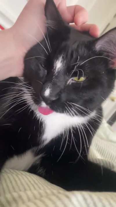 he might be wearing a tuxedo but he's still the biggest derp around
