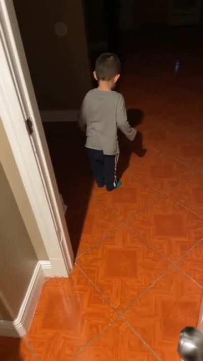 Shadow, the enemy