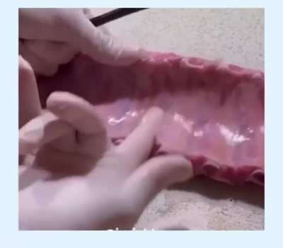 Dude shows how to remove rib membrane with two fingers