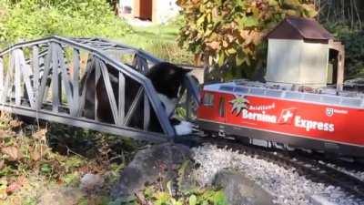 "Unusual foreign object on the rails ahead..."