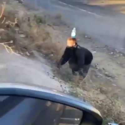 ???