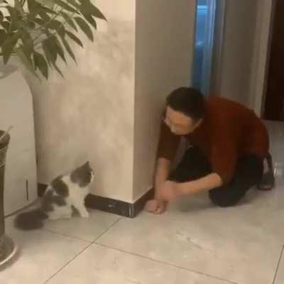 "Yeah i saw you Bill; i'm just faking my surprise here. Get over it... " - Cat