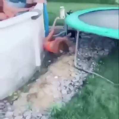 Fail