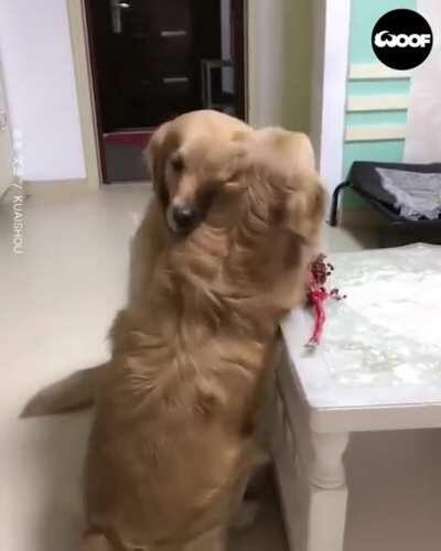 Cheer up!