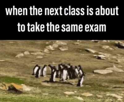 "you can do it, guys"