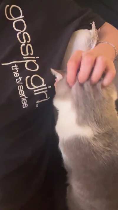 when pepper wants pets she’ll let you know