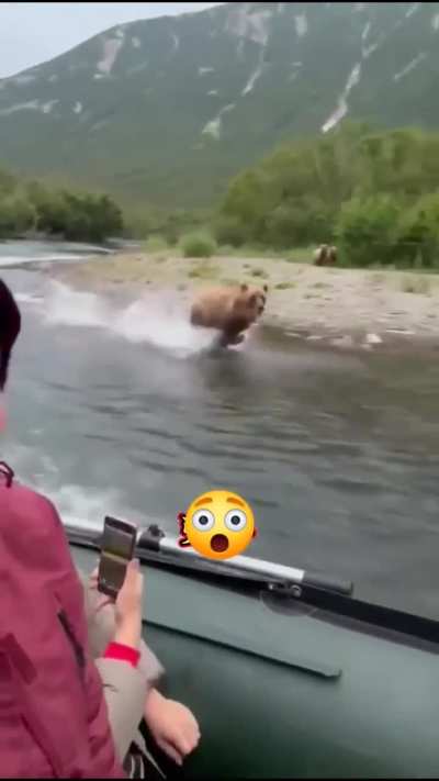 ? ? Casual day of a bear ? chasing your boat ? and family? ?