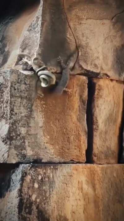 ? Rescue mission ?