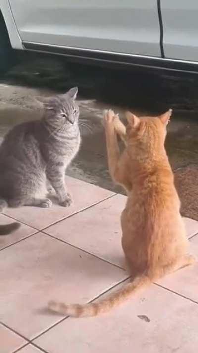 You are getting very sleepy..