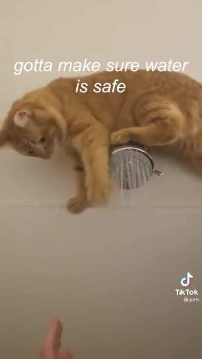 Shower repair kitty! ? ?