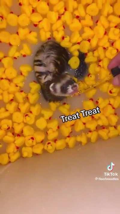 Shower Time