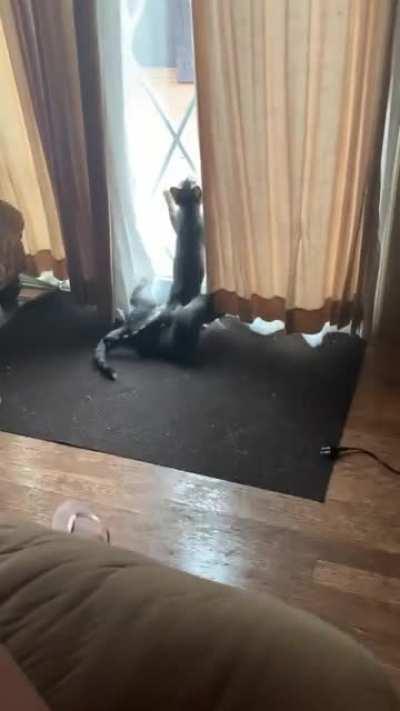 She was trying to get a stain?