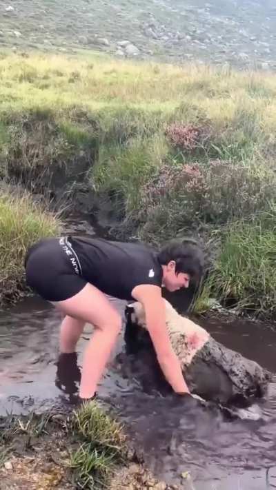 This lady took her time to rescue and clean up the ram