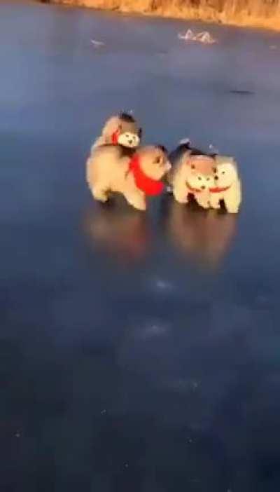 very sweet...
