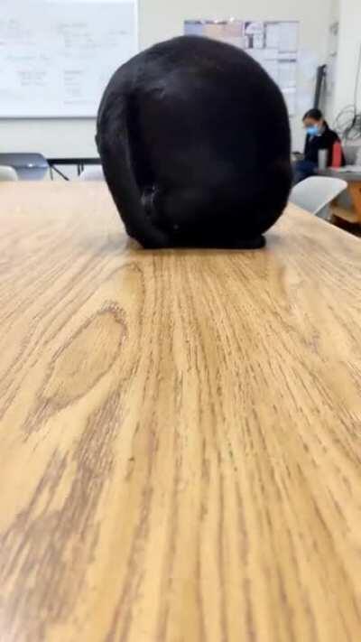 Acrobat as liquid..