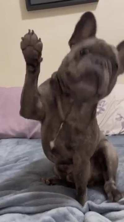 I'm raising it!