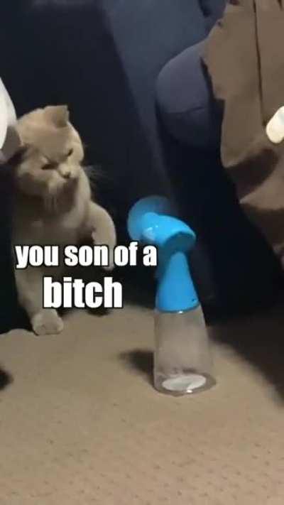 the ending ?