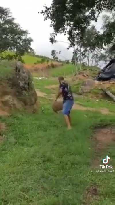 Sheep: You think I'm a joke?