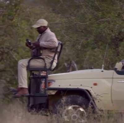 ? Photographer captures the moment a lion sneaks up on a safari group