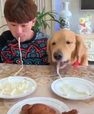 You did not stand a chance against me hooman