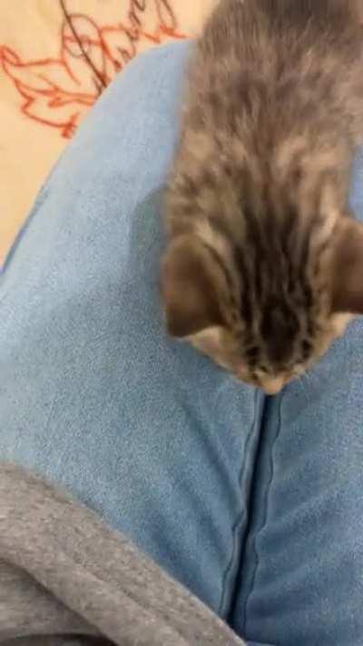 3 week old hungry baby ??