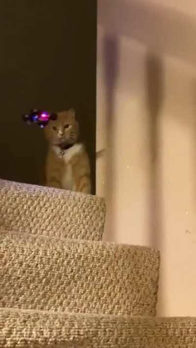 Not on my watch!
