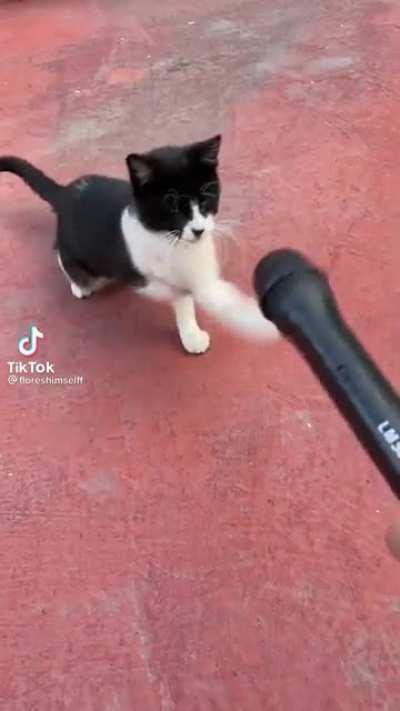 He doesn't care about your politics