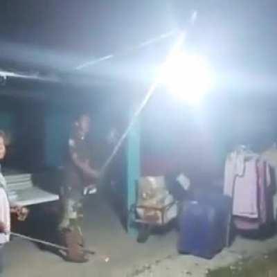 Fireball vs flies