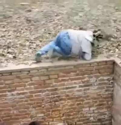 YesYesYesYesNo