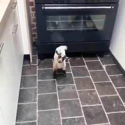 You just bought a house and this happens. What do you do?