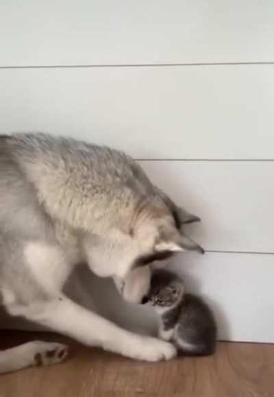 Yes you are mine.