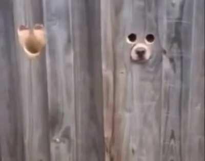 You have a funny feeling like you’re being watched.