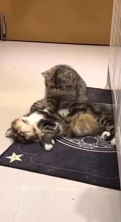 Sweet couple )