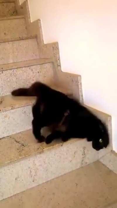 Fur Slinky
