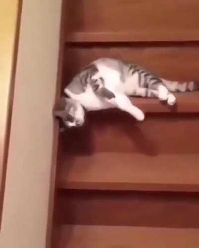 too lazy to walk.