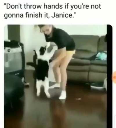 Don't mess with cats