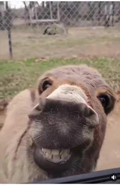 You said what ??